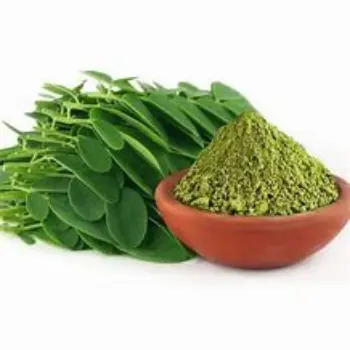Organic Drumstick Powder