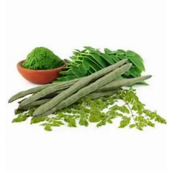 Fresh Drumstick Powder