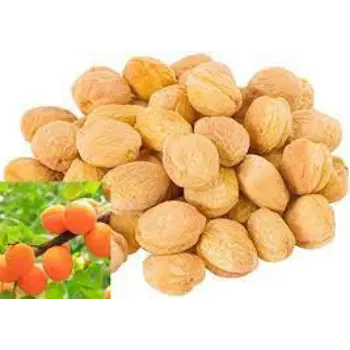 Natural Dried Apricots