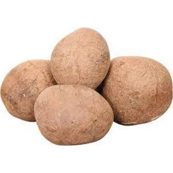 Natural Dry Coconuts  Manufacturer and Exporter
