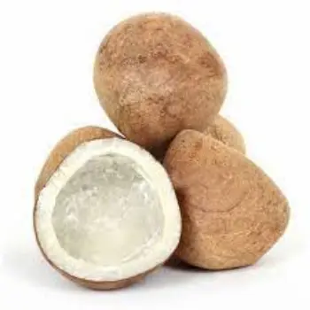 Common Dried Coconut Wholesaler
