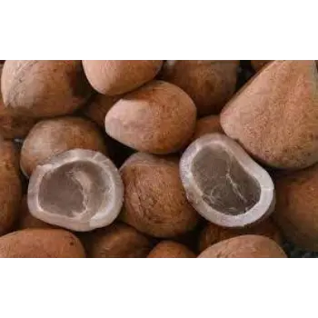 Natural Dried Coconut