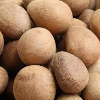 Organic Dried Coconut 