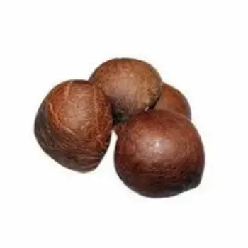 Common Dried Coconut