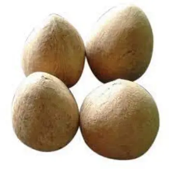 Natural Dried Coconut