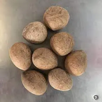 Common Dry Coconut Manufacturer