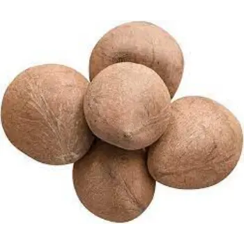 Common Dried Coconut