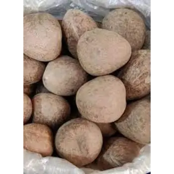 Common Dried Coconut Exporter