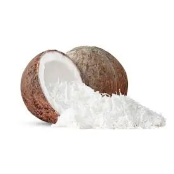 Natural Dried Coconut Exporter and Trader