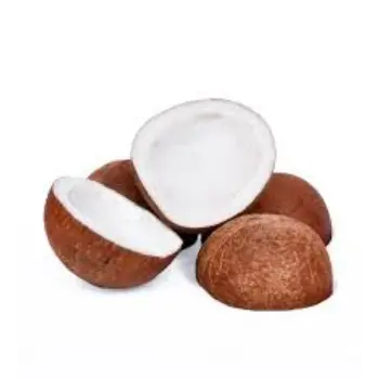 Common Dried Coconut