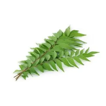 Organic Curry Leaves
