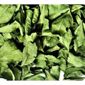 RAJESWARI NURSERY Dry Curry Leaves