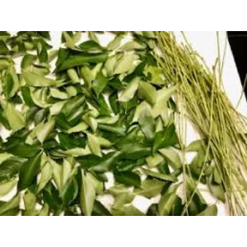 Natural Dry Curry Leaves