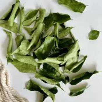 natural Dry Curry Leaves