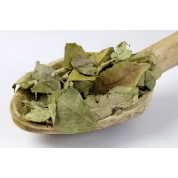 Natural Dry Curry Leaves