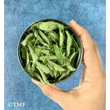 Natural Curry Leaves