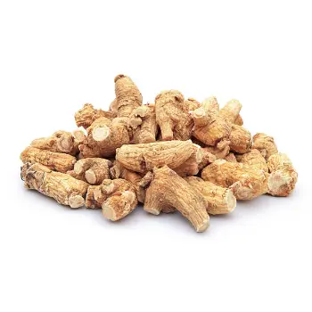 Common Dry Ginger