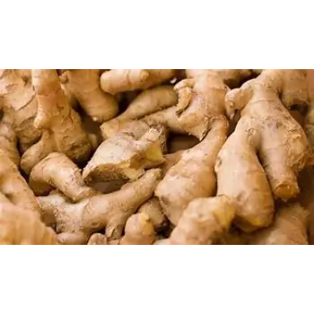 Dry Ginger