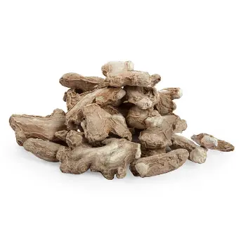  Fresh  Dry Ginger