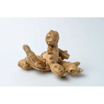 Common Dry Ginger
