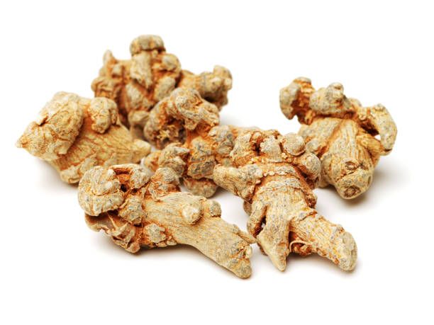 Common  Dry Ginger