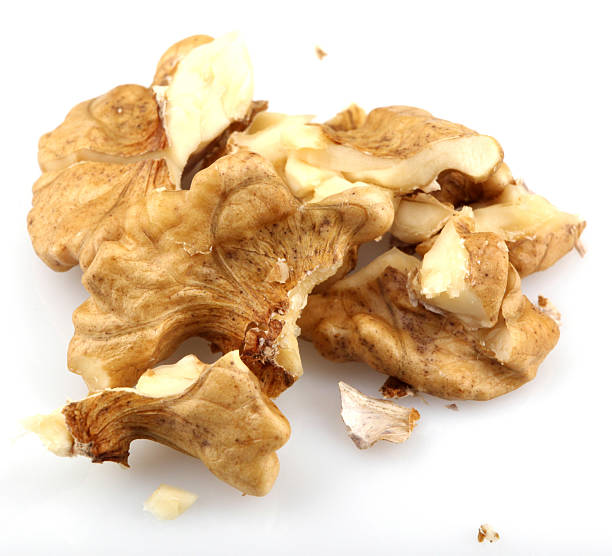 Natural Walnut