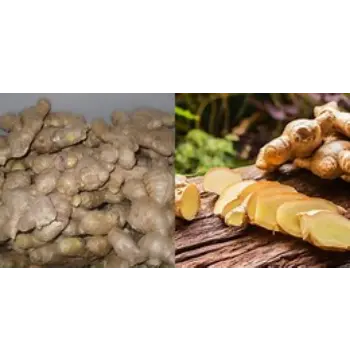 Fresh Dry Ginger