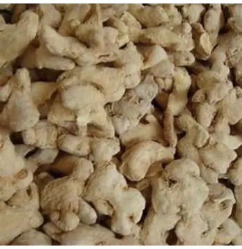 Fresh Dry Ginger