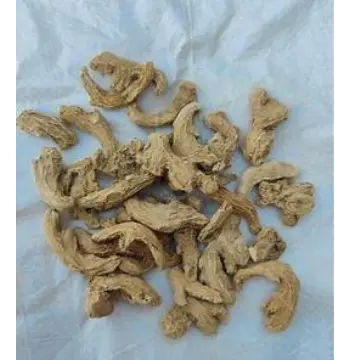 Fresh Dry Ginger