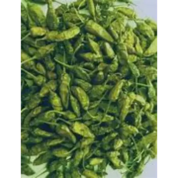 Natural Dry Green Chilli