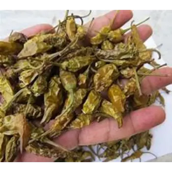 Common Dry Green Chilli