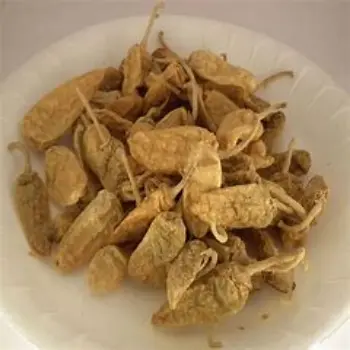 Fresh Dry Green Chilli