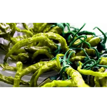 Fresh Dry Green Chilli