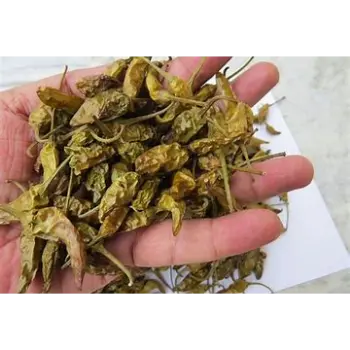 Dry Green Chilli