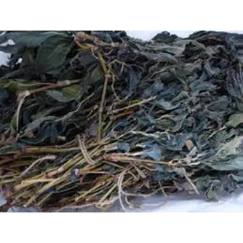 Natural Dry Indigo Leaves