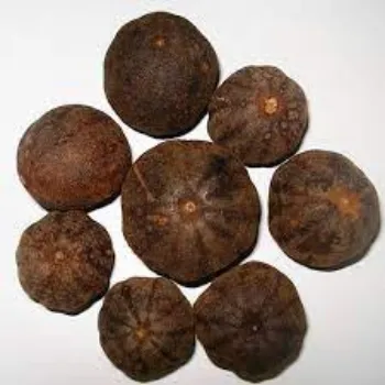 Natural Dried Lemon
