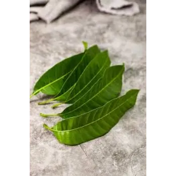Organic Dried Mango Leaves