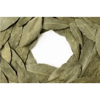 Natural Dry Mango Leaves