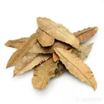 natural Dry Mango Leaves
