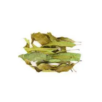 Fresh Dry Mango Leaves