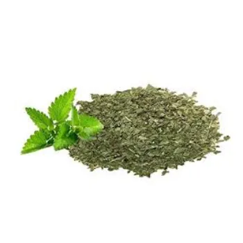 Common Mint Leaves