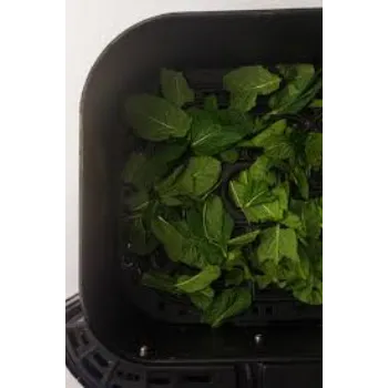 RAJESWARI NURSERY Dry Mint Leaves