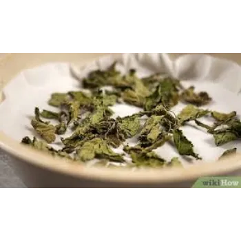 Natural Dry Mint Leaves