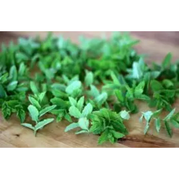 Natural Dry Mint Leaves