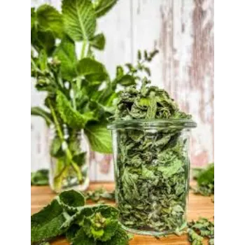 Natural Dry Mint Leaves
