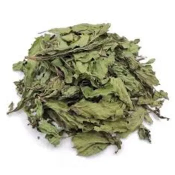 Dry Mint Leaves
