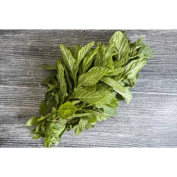 Natural Dry Mint Leaves