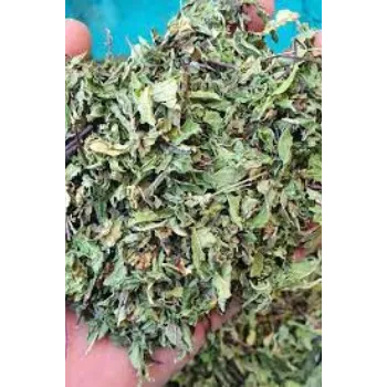 Dried Mint Leaves