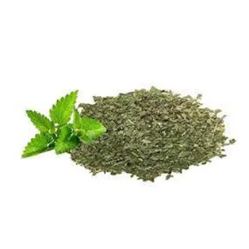 Natural Mint  Leaves