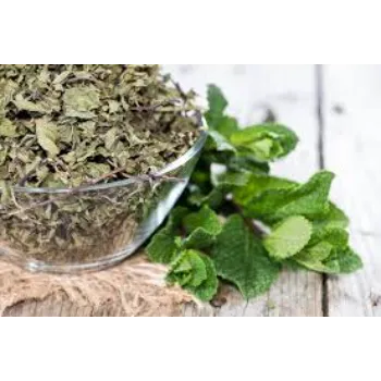 Natural  Dry Mint Leaves